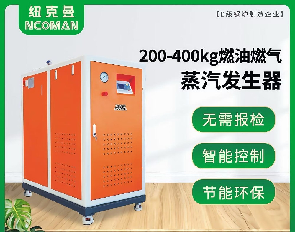 200kg-400kg燃氣燃油蒸汽發生器